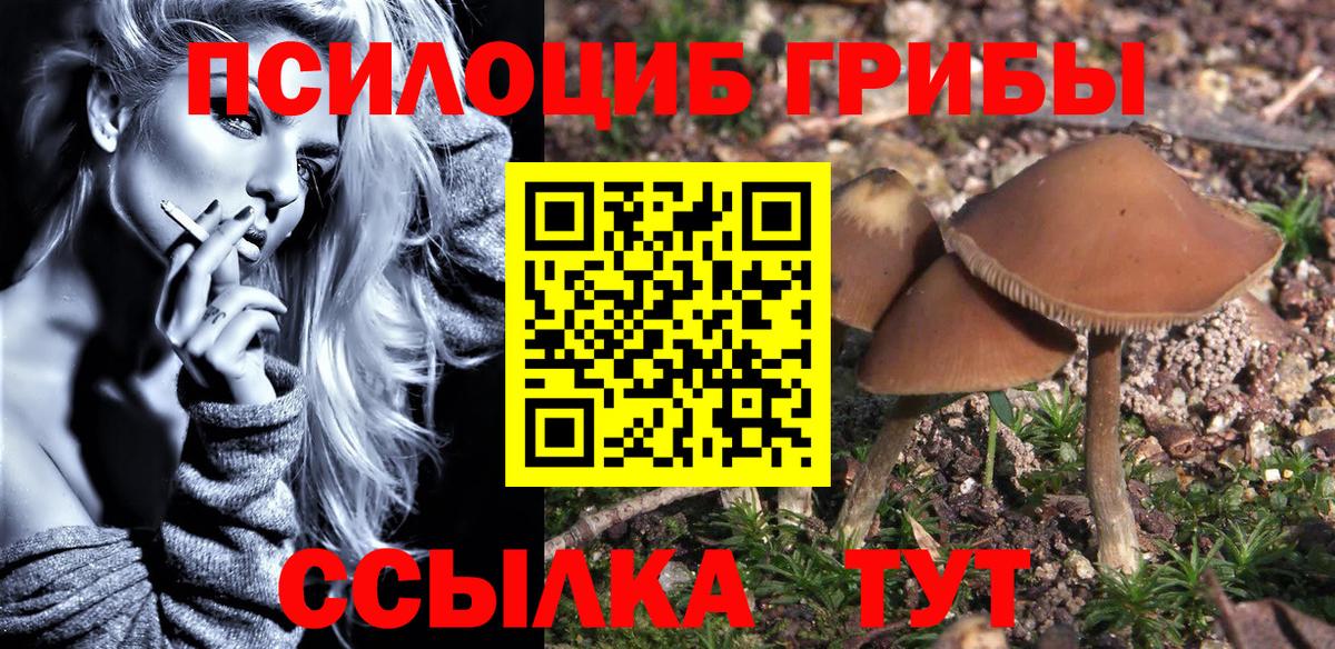 МЕФ Кольчугино