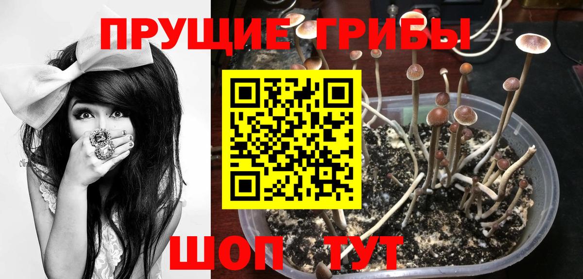 Кольчугино  ГАШ  МЕТ  Вход с VPN  Героин  МДМА  ГАШИШ  Меф кристаллы  Лсд 25  COCAIN  Каннабис 