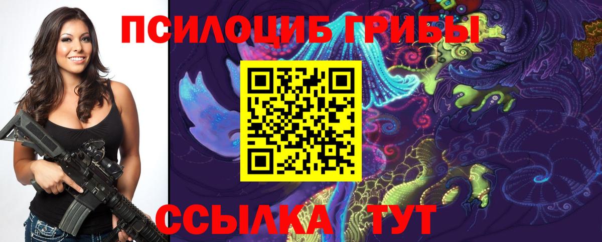 Псилоцибиновые грибы мухоморы  Псилоцибиновые грибы Magic Shrooms  Вход с VPN  Кольчугино 